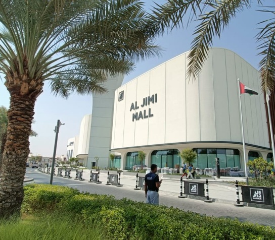 Commercial project